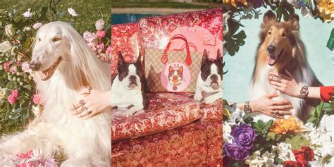 gucci year of the dog campaign|Gucci’s new Year Of The Dog.